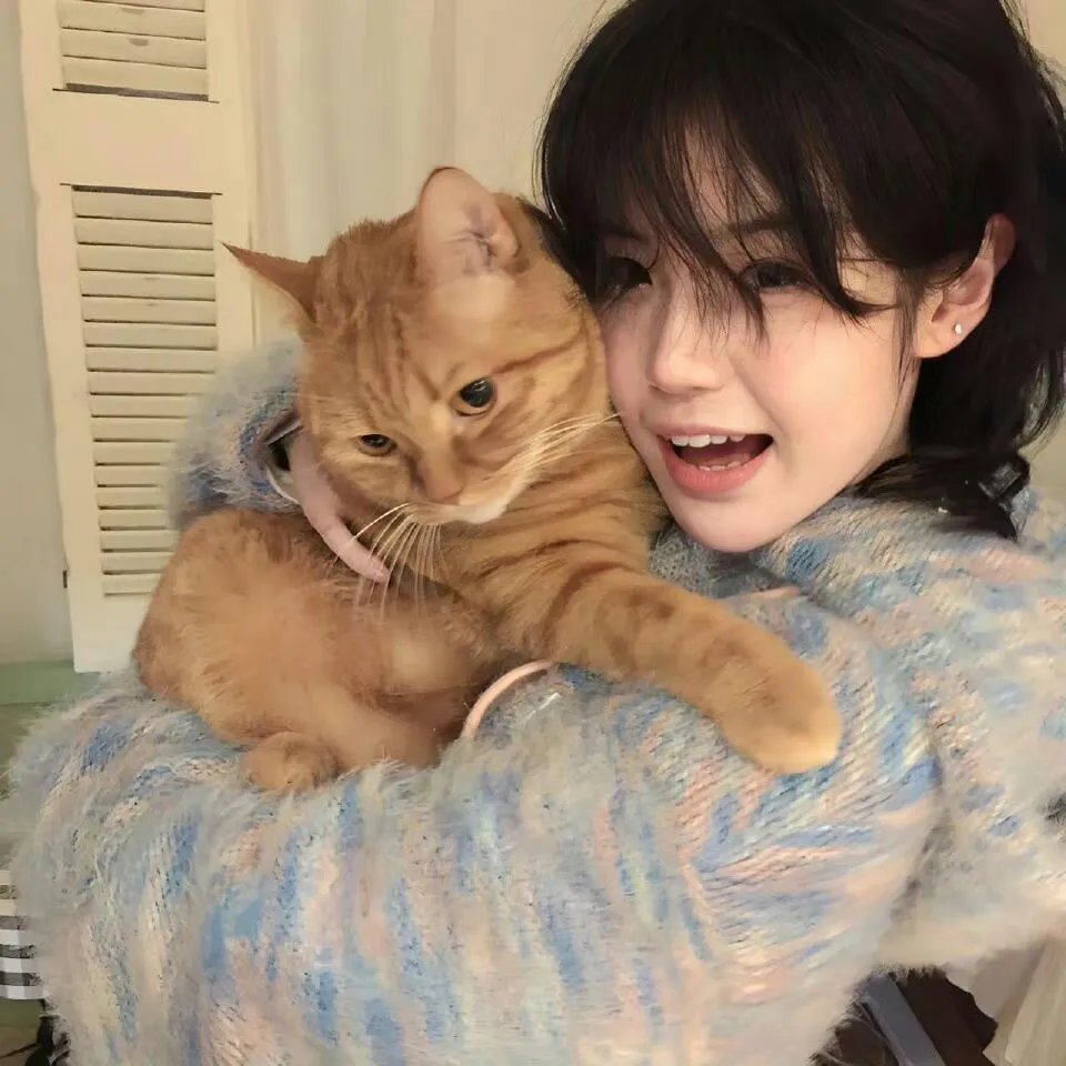 十二猴子第四季